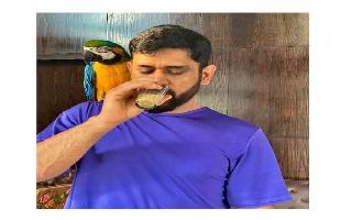MS Dhoni enjoys 'Chai date' with his pet Macaw; wife Sakshi shares..